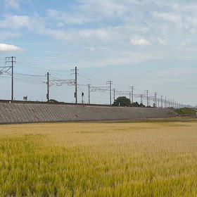 名鉄甲種の画像