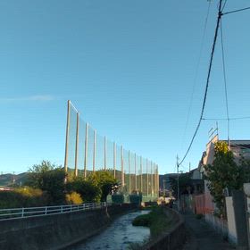 心は既に…　日曜へ…　(≧∇≦)/　ｶﾞｷﾝﾁｮｷｯｸ！の画像