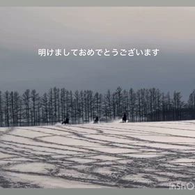 新年御挨拶の画像