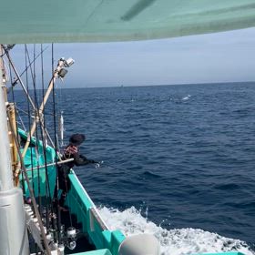 昨日も激アツ何だけどの画像