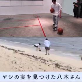 2024/08/26の画像