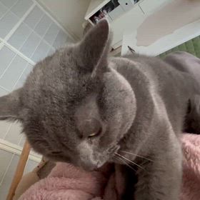 嬉しいことがあったの画像