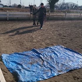 虹ちゃん動画の画像