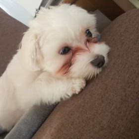 2024年7月22日月曜日の画像