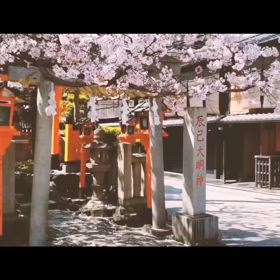 【和牛料亭 bungo 祇園】の画像