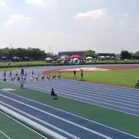 男子80m予選⑧の画像