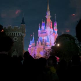 Reach for the starsの画像