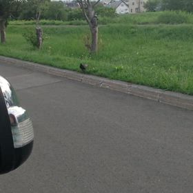 生命は続くよ、part2の画像