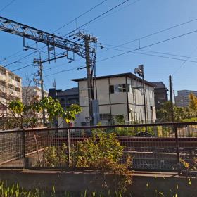 2024/11/28の画像