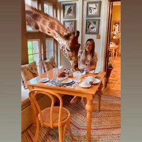 俺のフレンチ・イタリアンなどの本格一流料理を冷凍商品化しご自宅へお届け【俺のEC】(の画像