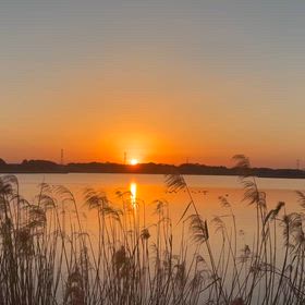 夕暮れですの画像