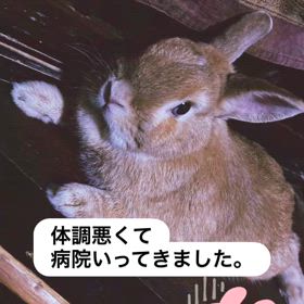 夫が亡くなって7年の画像