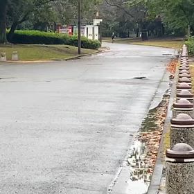 県駅伝選考会（11/2）⑥の画像