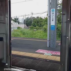 2024/03/31の画像