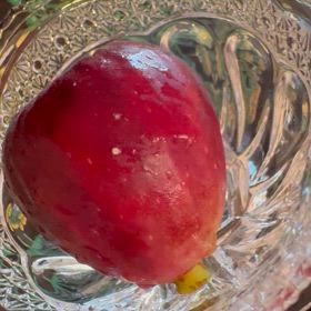 ことし最後のイチヂクの画像