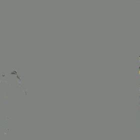 12月　花の寄せ植え　動画の画像