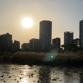 上野不忍池　パワーチャージの画像