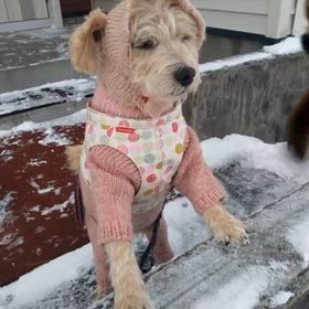 大丈夫？の画像