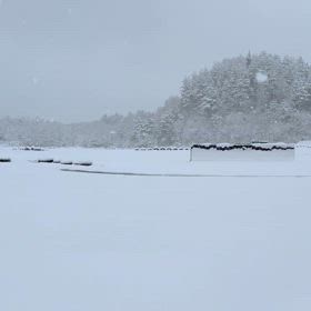【お知らせ】明日3月3日（日）の運営は中止の画像