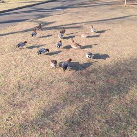 思わぬ所で心良く不要品処理の画像