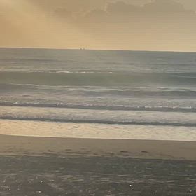 月曜日@鴨川の画像