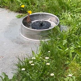 密かな幸せ♡の画像