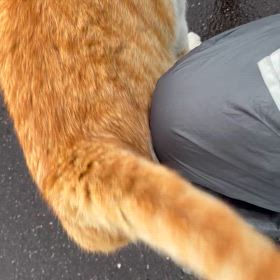 偶然の遭遇の画像