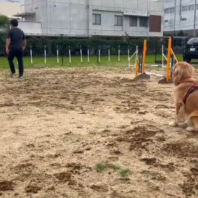 毎日、お勉強。の画像