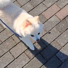 今朝のふたり♫の画像