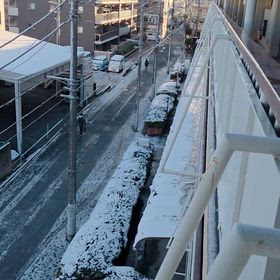 今朝の様子&chappyさんの画像