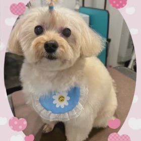 遅れましたの画像