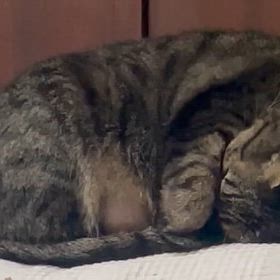 ゆっくり休みの画像