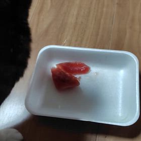 やっぱ好きやねんの画像