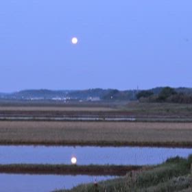 田んぼに映り込む月の画像