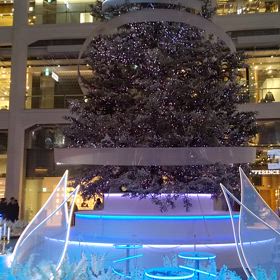 Ｈａｐｐｙ  Ｘ’ｍａｓ‼️の画像