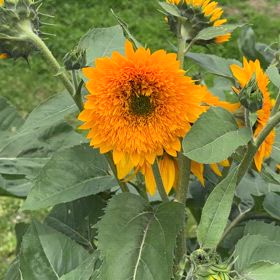 この記事の画像