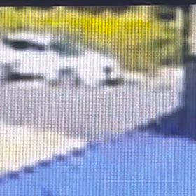 二人乗りの自転車が来てもお構い無しにドア開けてた！の画像