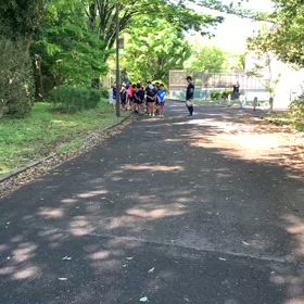 4/29リレー選考会（スタート）⑳の画像