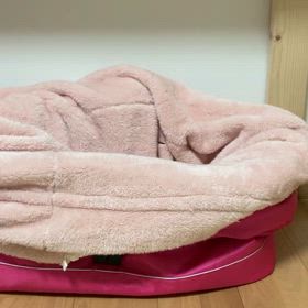 もぐらアジュールの画像