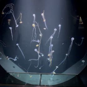 まだまだ　寒いの画像