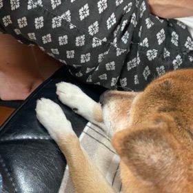 2024年10月6日の画像