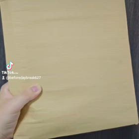 あの手帳のガイドブックの画像