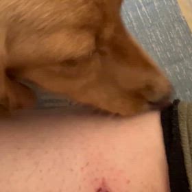 さくらくん アンナの傷を治そうとするの巻の画像