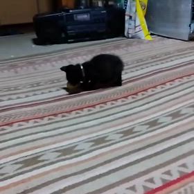 2024/10/10の画像