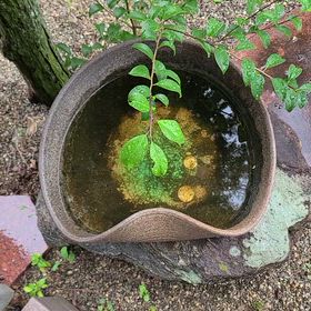 こんにちは。(10月12日)の画像