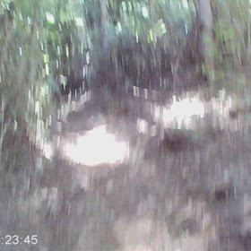 久しぶりの トレイルランニング練習の画像