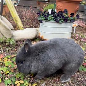 本日より新年の営業開始です！の画像