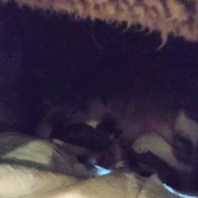 にこちゃんも無事出産しました！！の画像