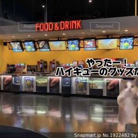 一部のTOHOシ●●ズにイラついた事。。。。の画像