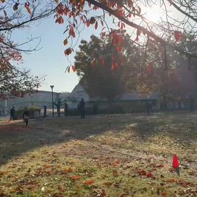 11/24 基本動作②の画像